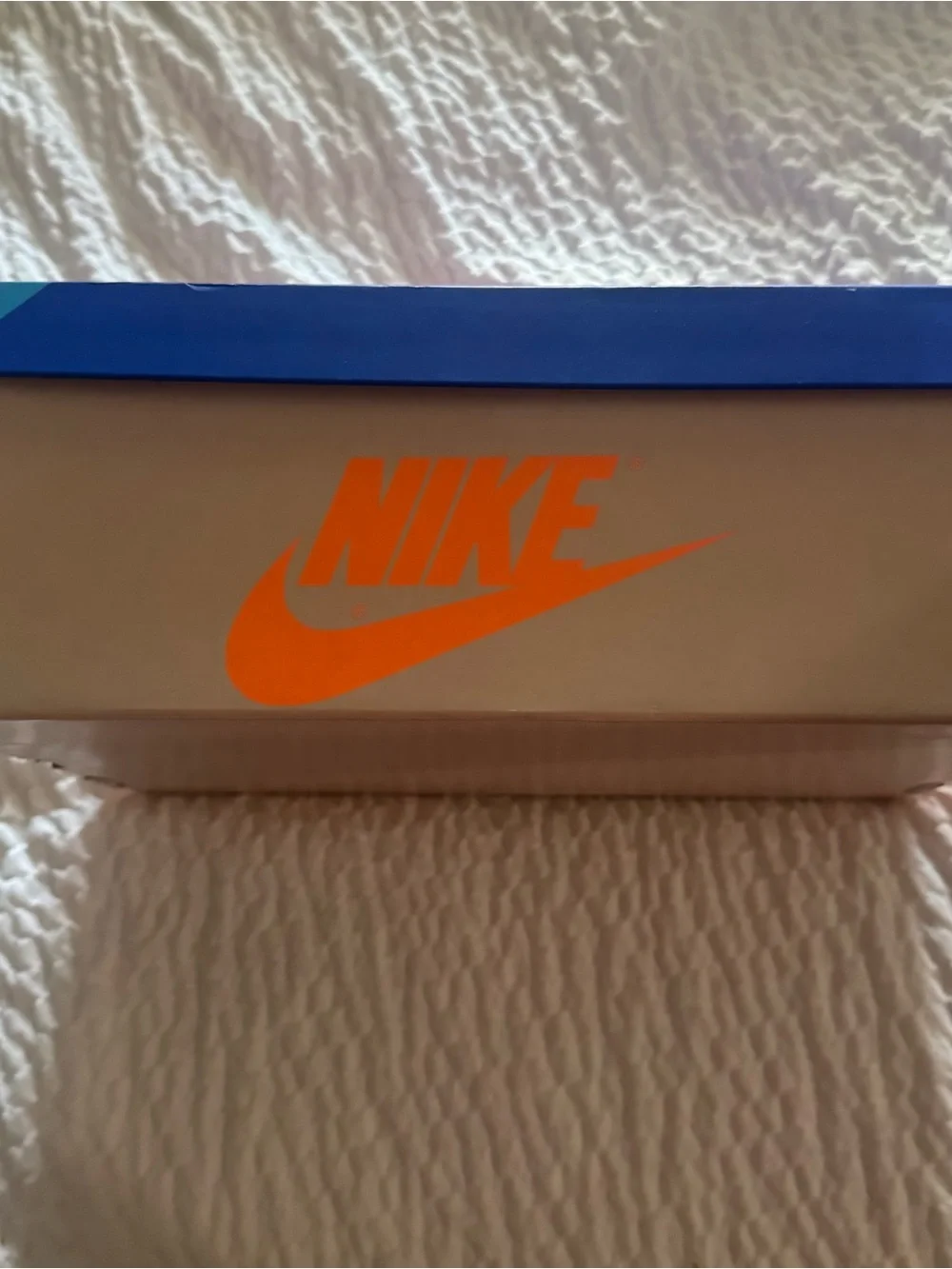 Size 11 - Air Jordan 1 Retro OG High Prototype
